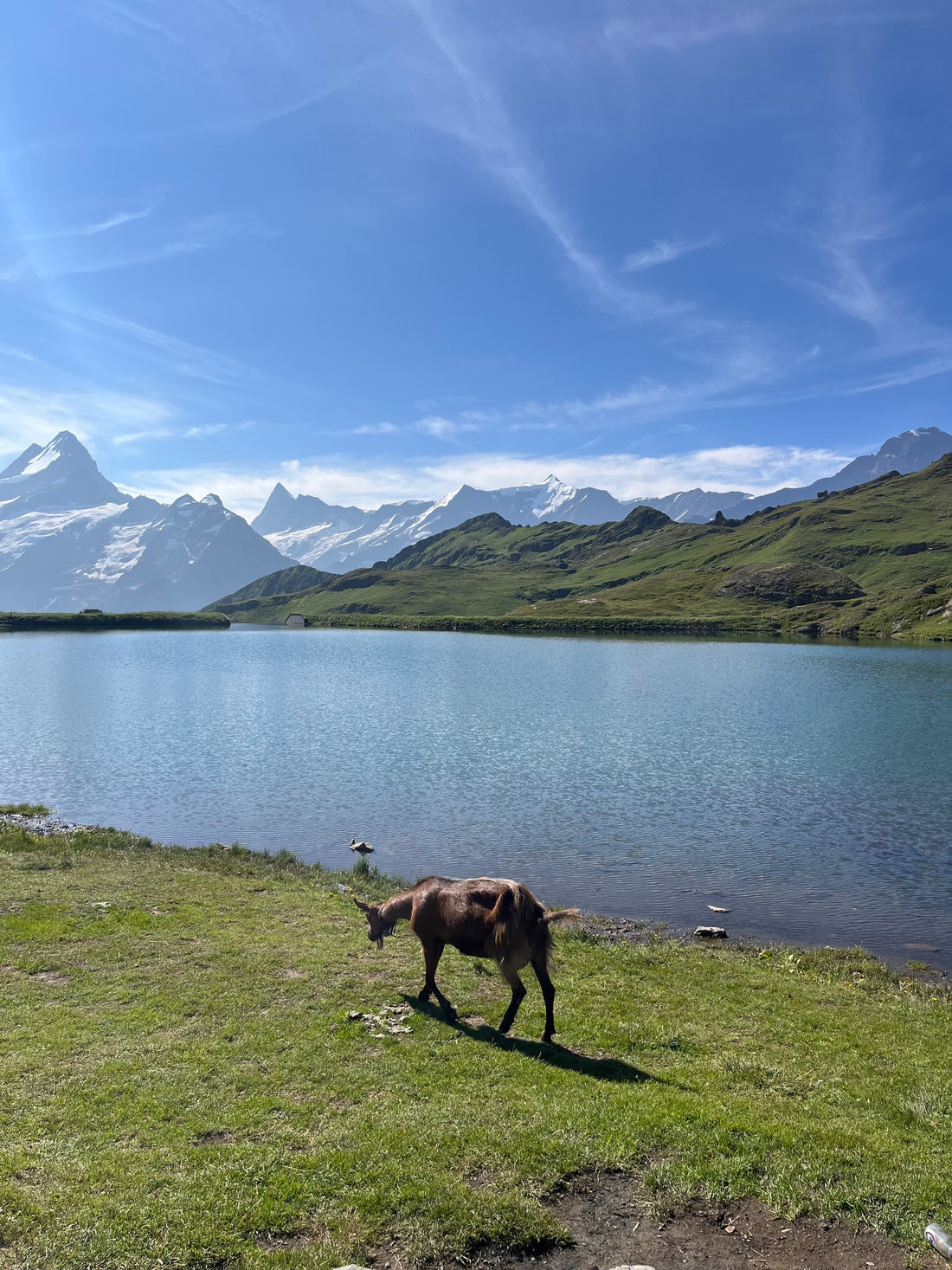 Switzerland - Alpine Odyssey